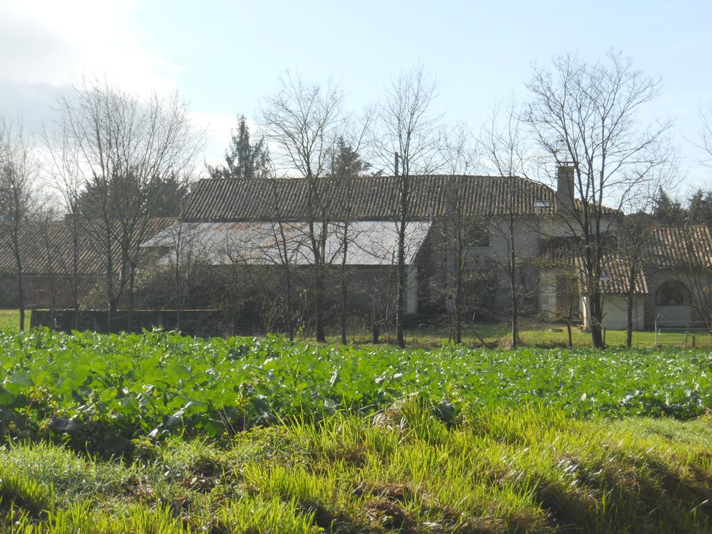 Wisteria & Jasmine Villa Genouille  Екстериор снимка